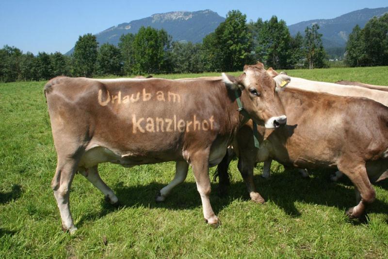 Kanzlerhof Bad Mitterndorf Exterior foto